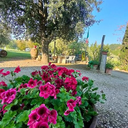 Azienda Agricola Polveraia San Gimignano Bagian luar foto