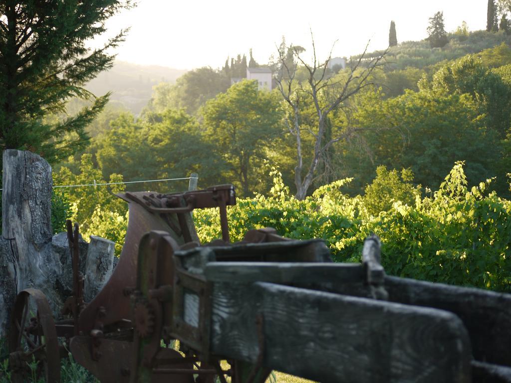 Azienda Agricola Polveraia San Gimignano Bagian luar foto