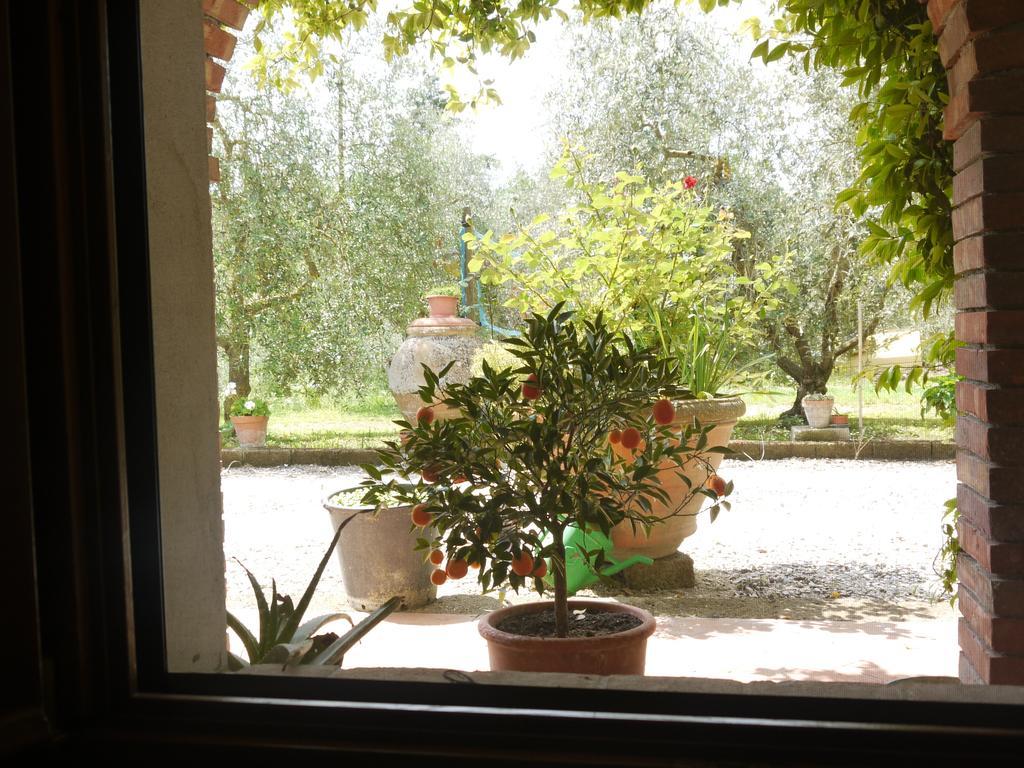 Azienda Agricola Polveraia San Gimignano Bagian luar foto