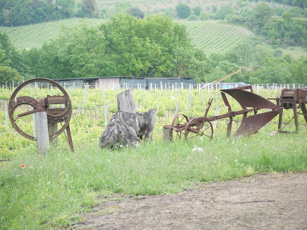 Azienda Agricola Polveraia San Gimignano Bagian luar foto