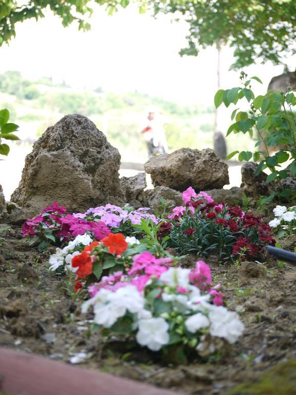 Azienda Agricola Polveraia San Gimignano Bagian luar foto