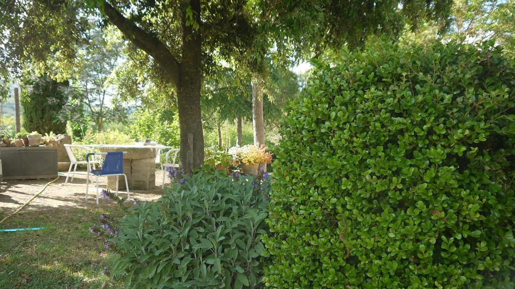 Azienda Agricola Polveraia San Gimignano Bagian luar foto