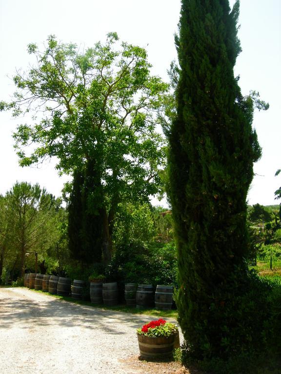 Azienda Agricola Polveraia San Gimignano Bagian luar foto