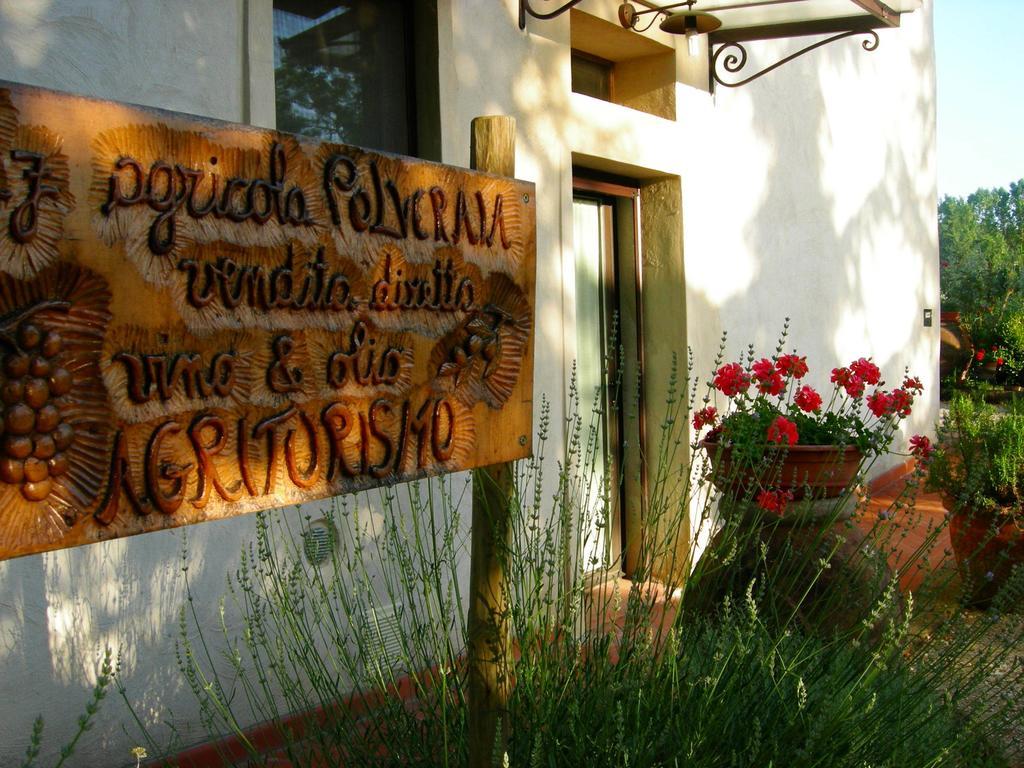 Azienda Agricola Polveraia San Gimignano Bagian luar foto