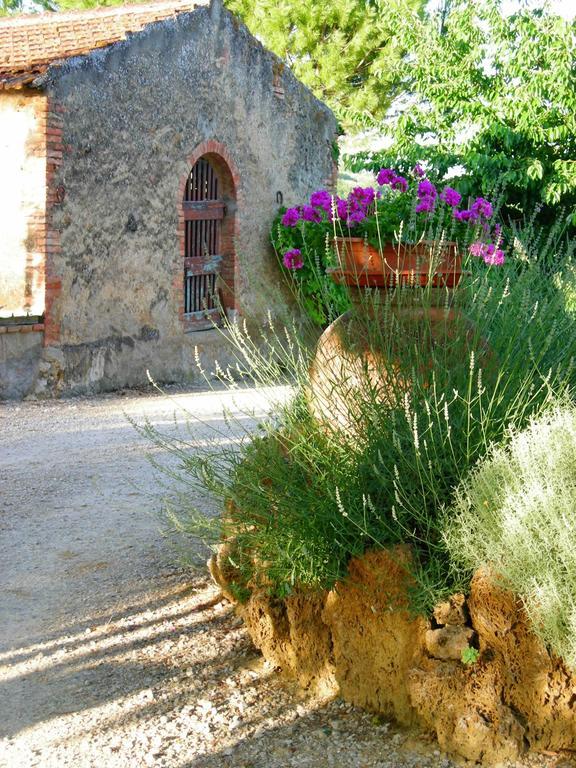Azienda Agricola Polveraia San Gimignano Bagian luar foto