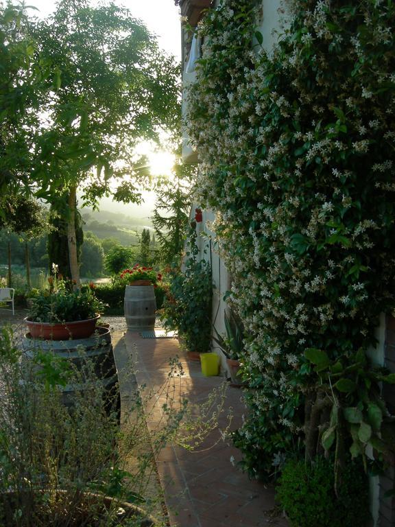 Azienda Agricola Polveraia San Gimignano Bagian luar foto