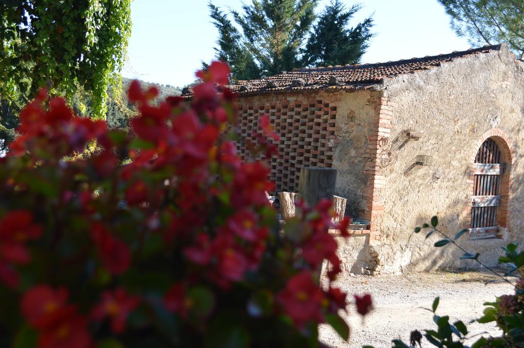 Azienda Agricola Polveraia San Gimignano Bagian luar foto