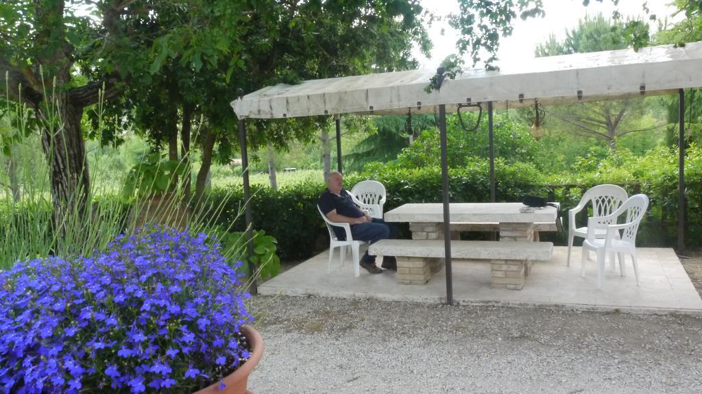 Azienda Agricola Polveraia San Gimignano Bagian luar foto