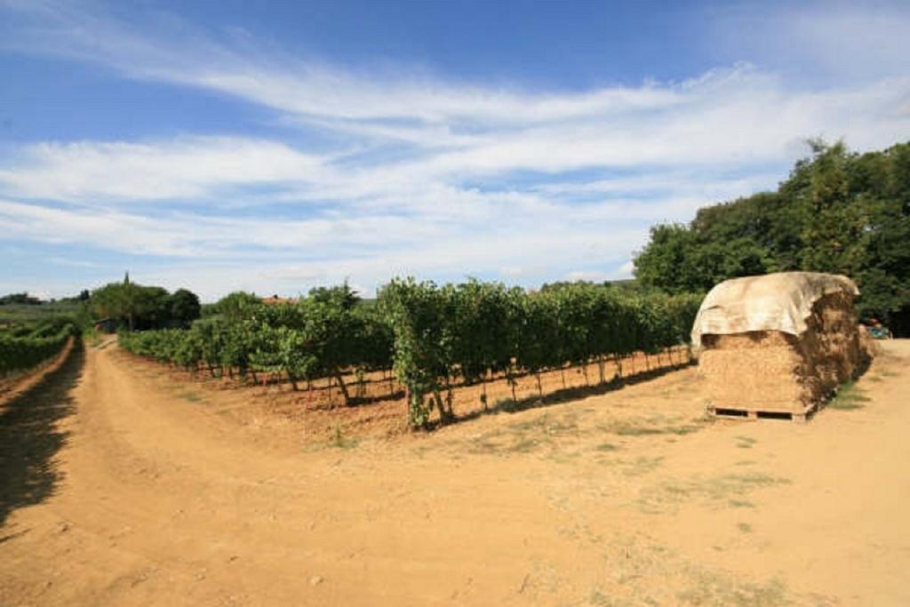 Azienda Agricola Polveraia San Gimignano Bagian luar foto