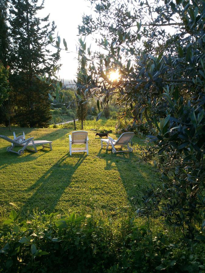 Azienda Agricola Polveraia San Gimignano Bagian luar foto