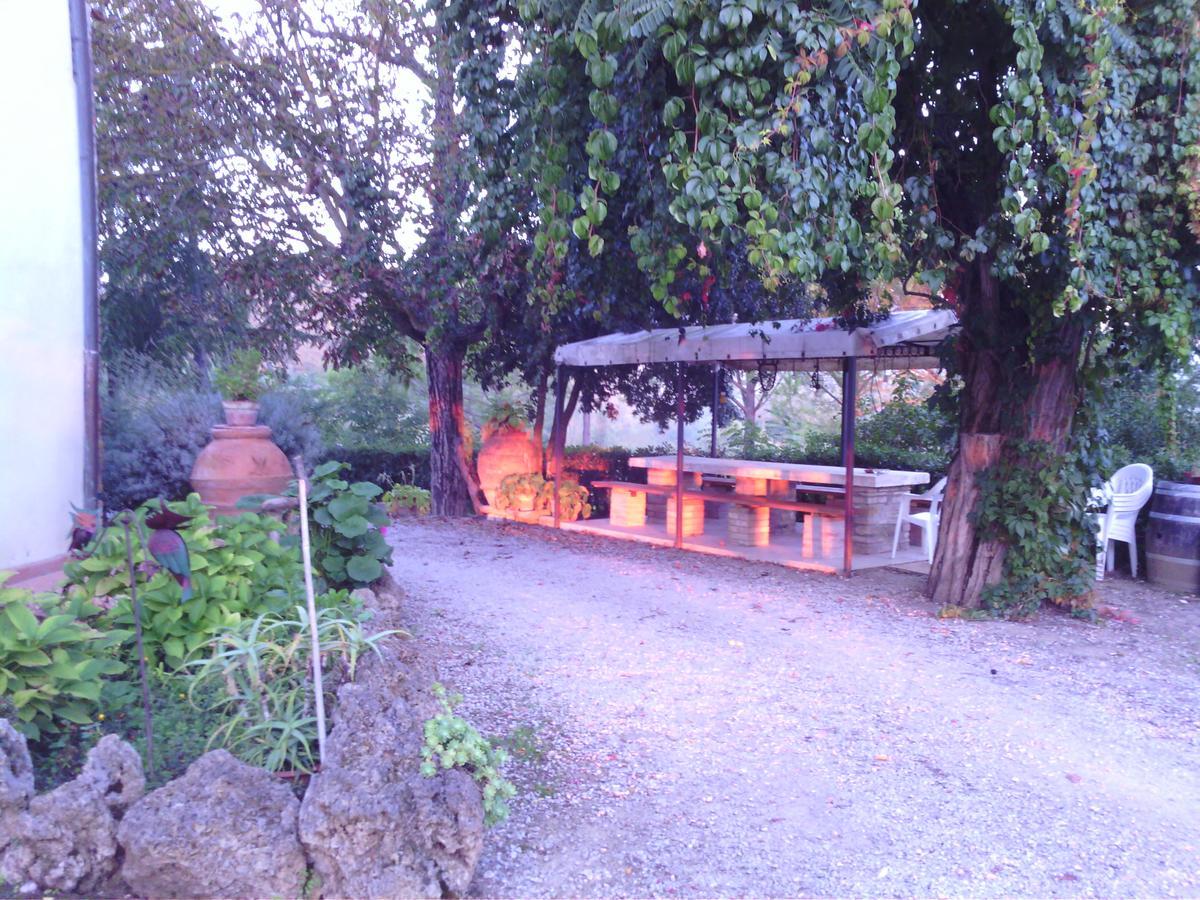 Azienda Agricola Polveraia San Gimignano Bagian luar foto
